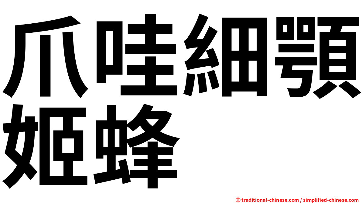 爪哇細顎姬蜂