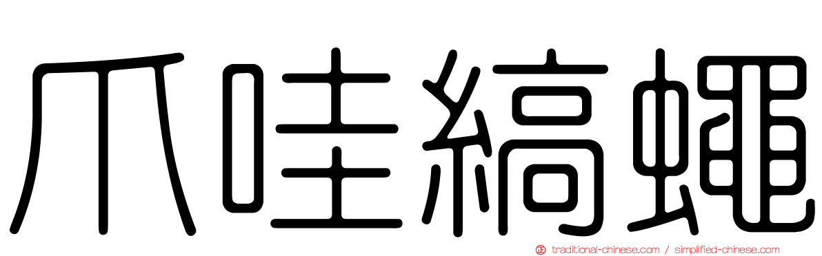 爪哇縞蠅