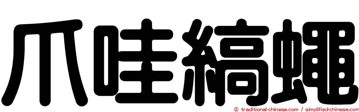 爪哇縞蠅