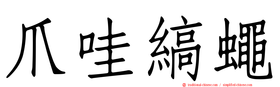 爪哇縞蠅