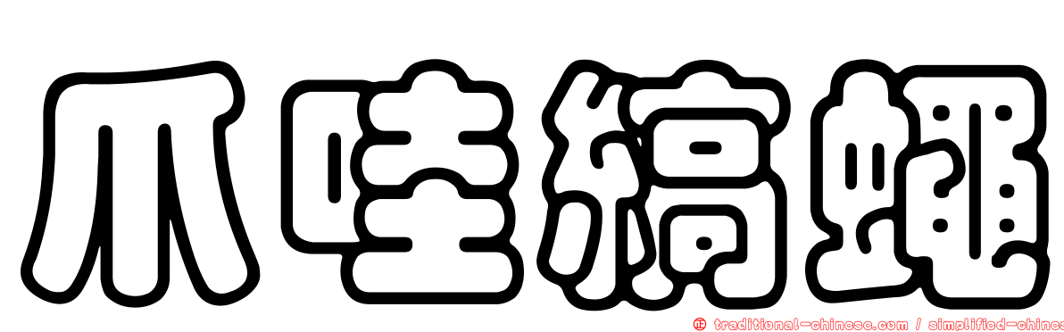 爪哇縞蠅