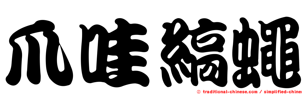 爪哇縞蠅