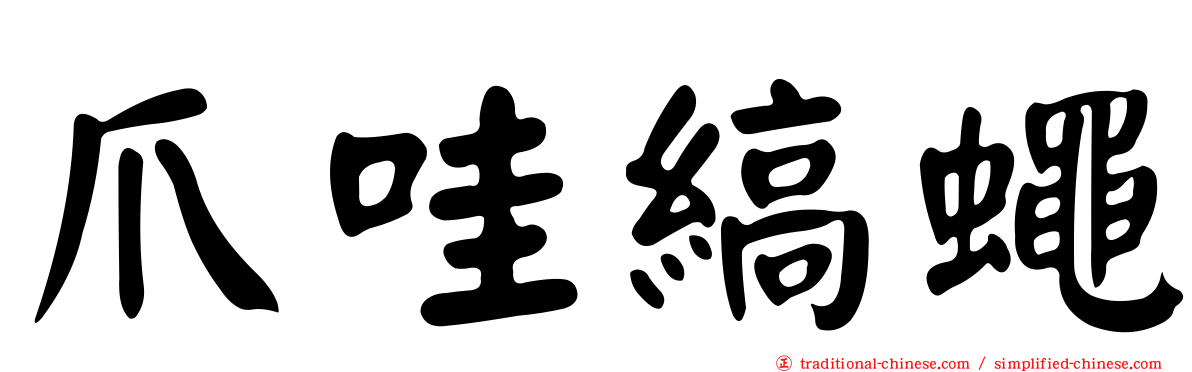 爪哇縞蠅