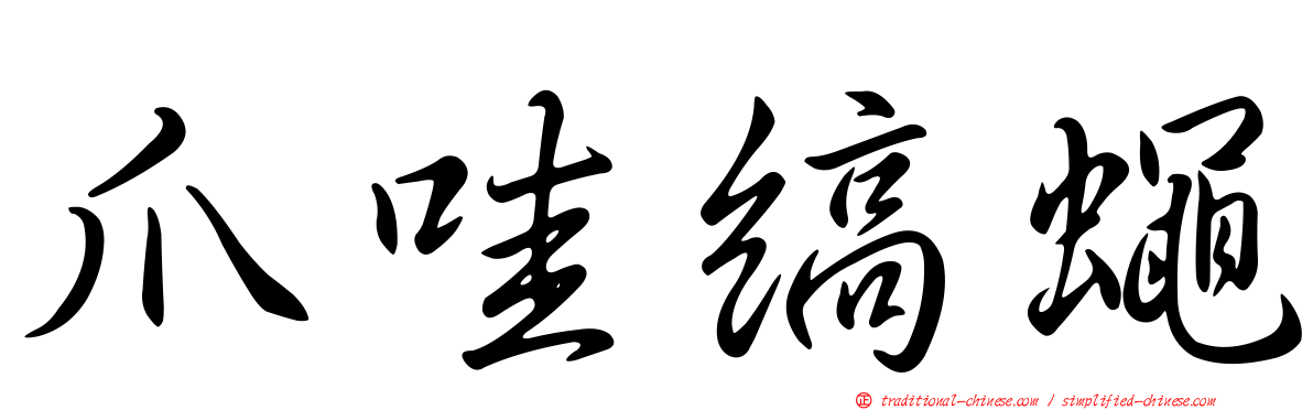 爪哇縞蠅