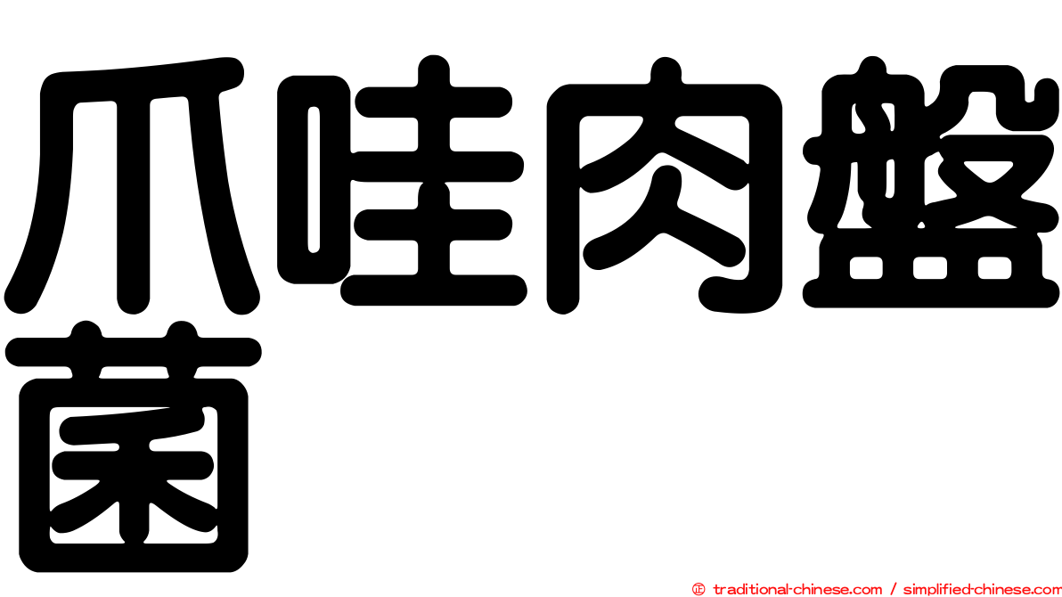 爪哇肉盤菌