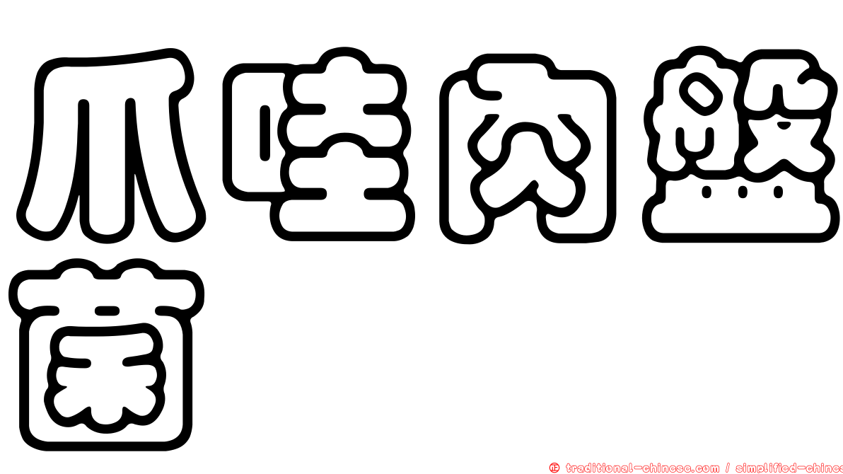 爪哇肉盤菌