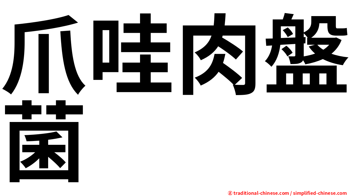 爪哇肉盤菌