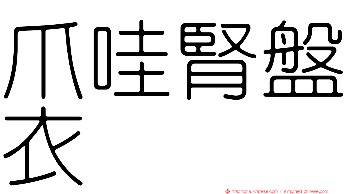 爪哇腎盤衣