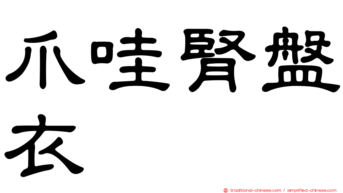 爪哇腎盤衣