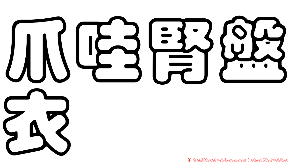 爪哇腎盤衣