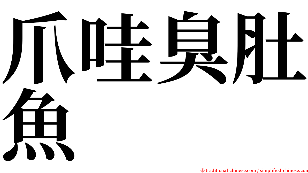 爪哇臭肚魚 serif font