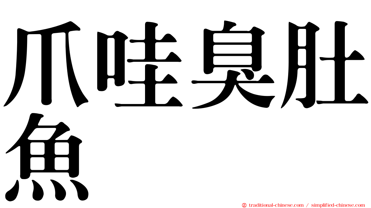 爪哇臭肚魚