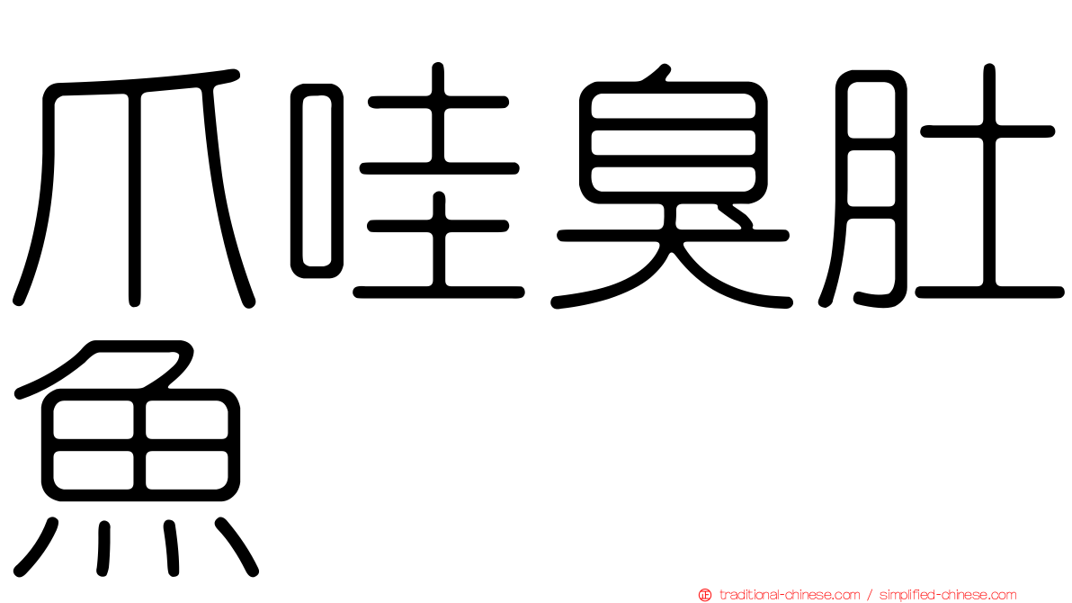 爪哇臭肚魚