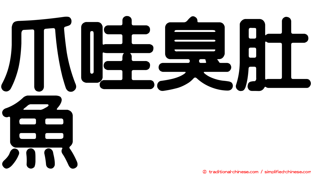 爪哇臭肚魚