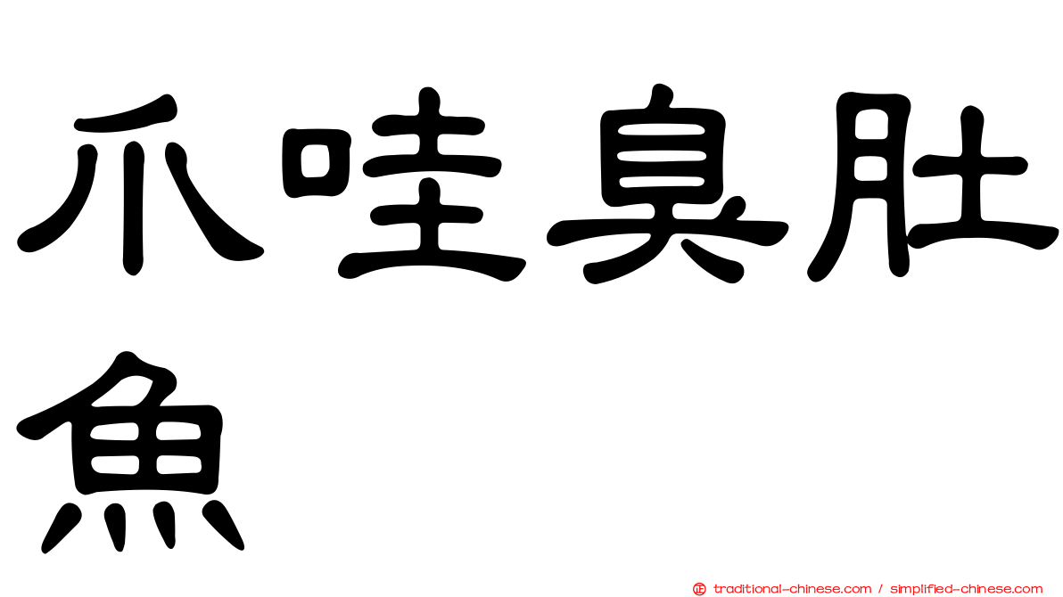 爪哇臭肚魚