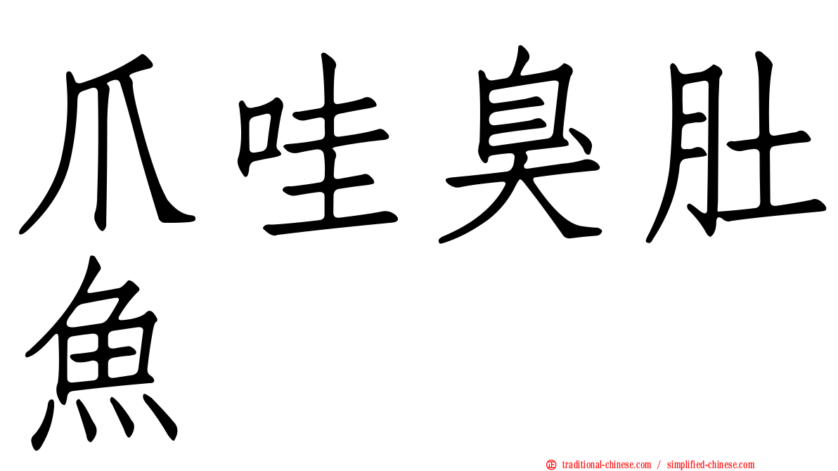 爪哇臭肚魚