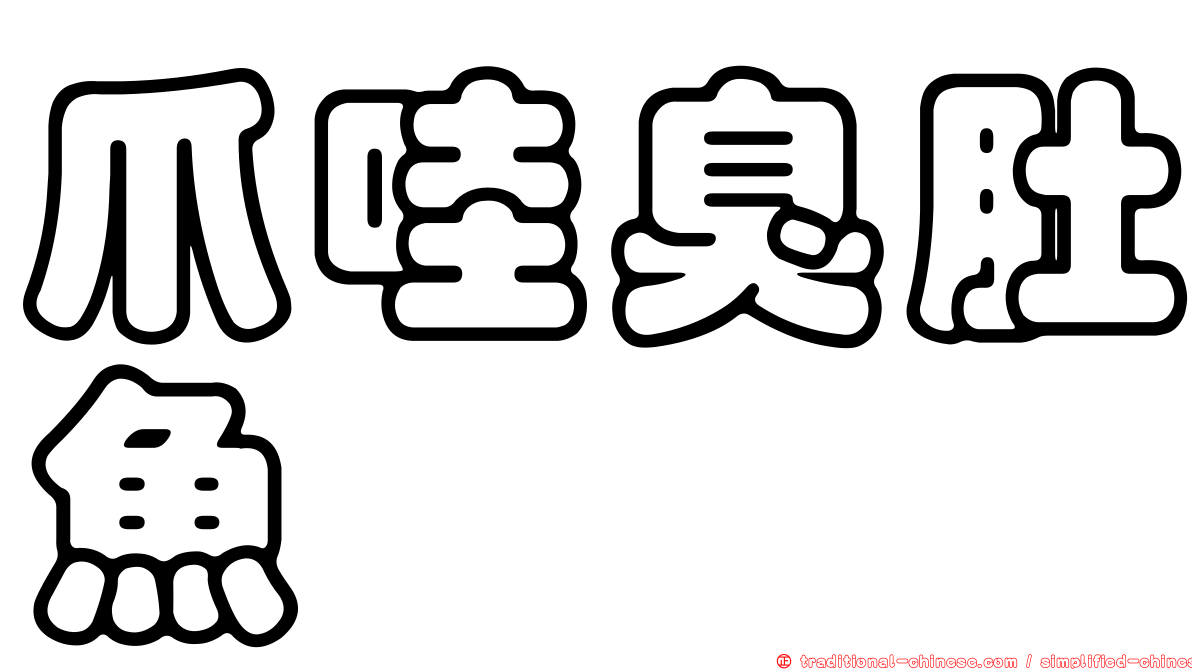 爪哇臭肚魚