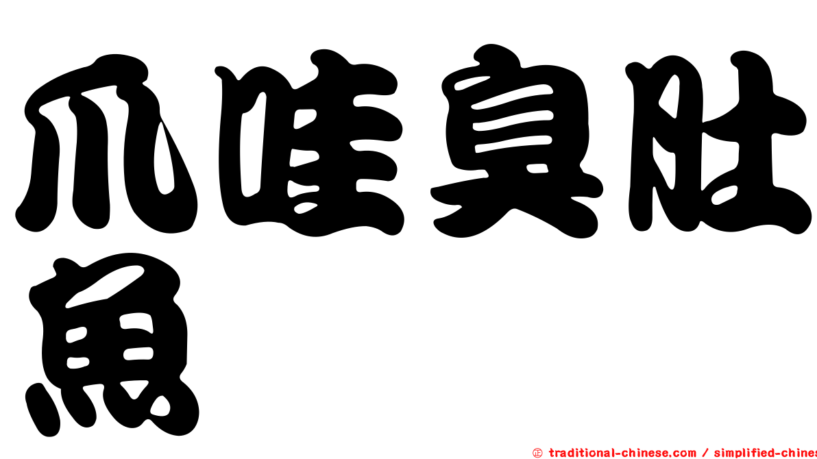 爪哇臭肚魚