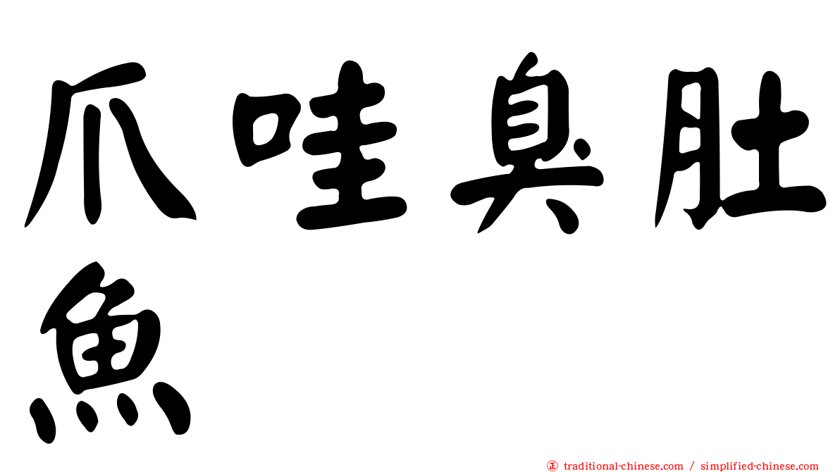 爪哇臭肚魚