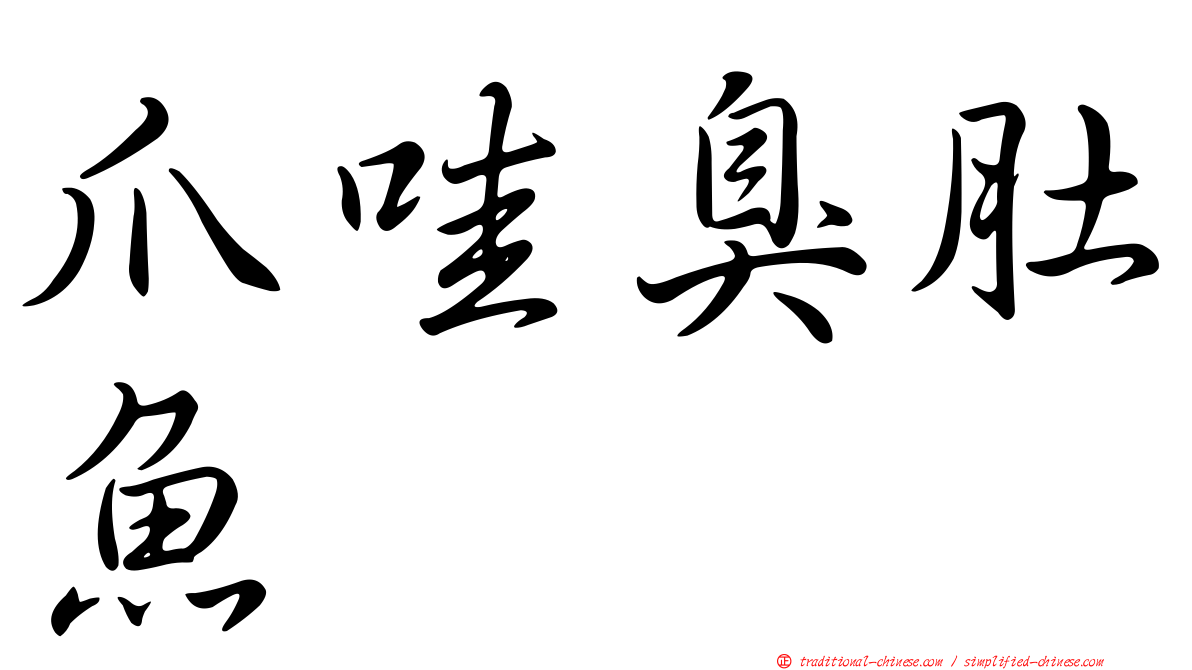 爪哇臭肚魚