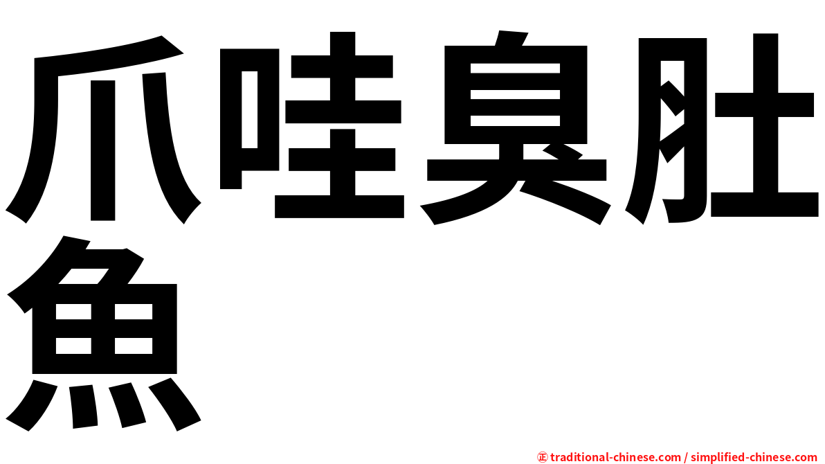 爪哇臭肚魚