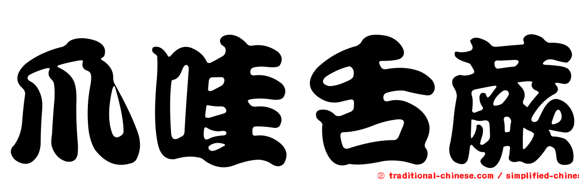 爪哇舌蕨