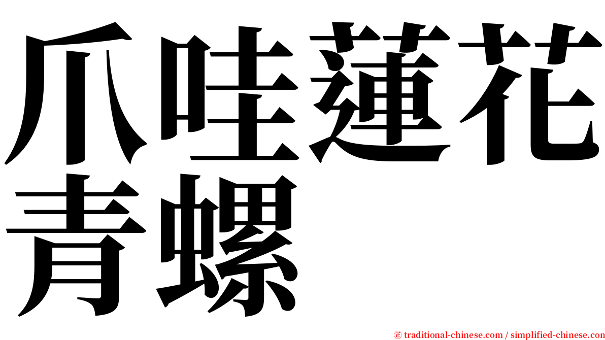 爪哇蓮花青螺 serif font