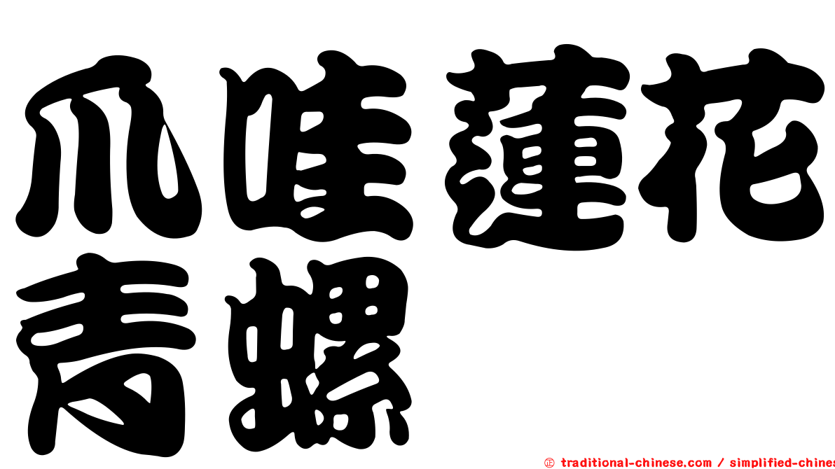 爪哇蓮花青螺