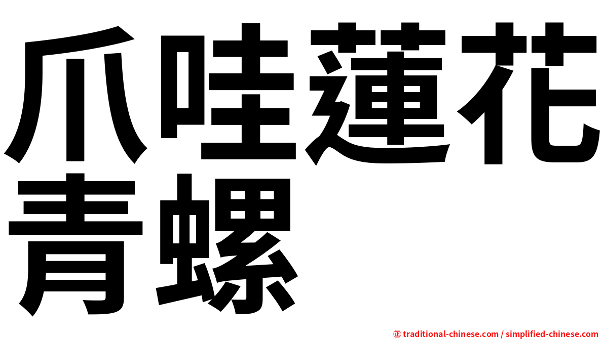 爪哇蓮花青螺