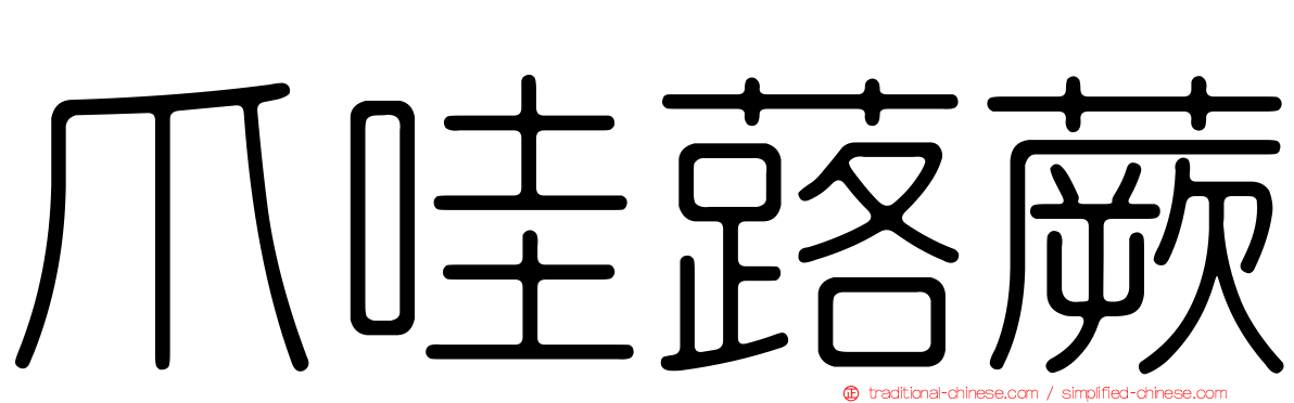 爪哇蕗蕨