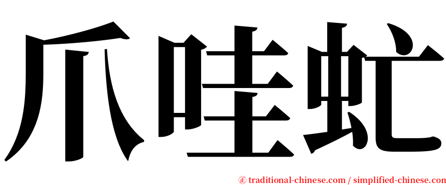 爪哇虻 serif font