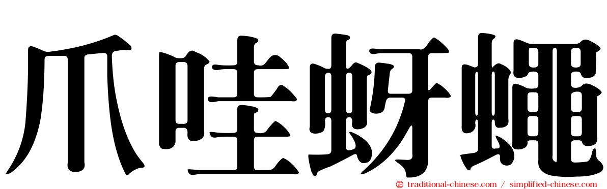 爪哇蚜蠅