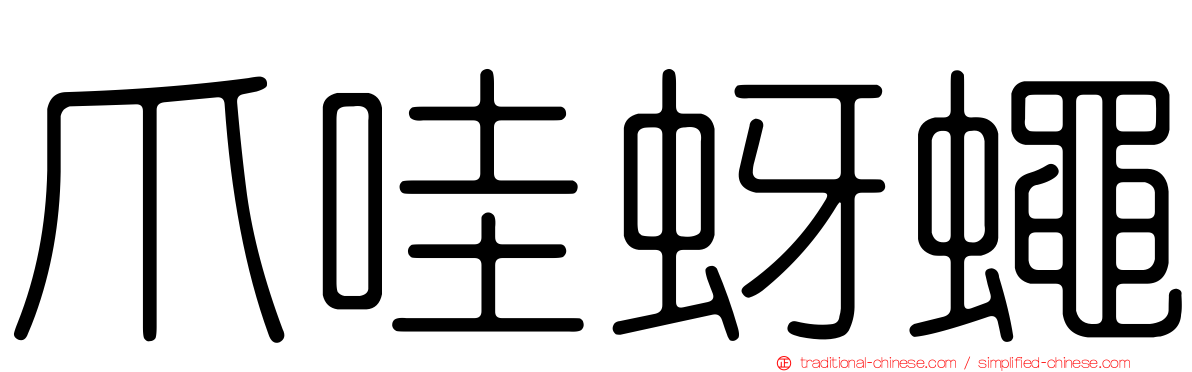 爪哇蚜蠅
