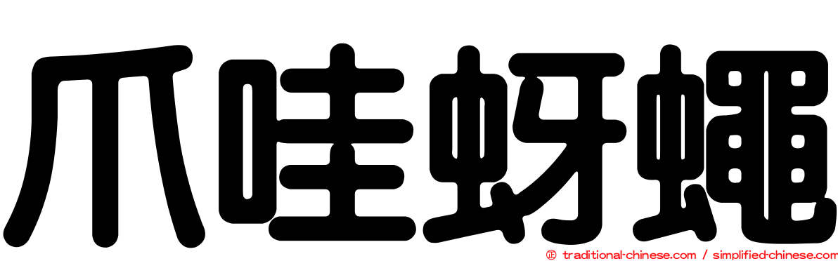 爪哇蚜蠅
