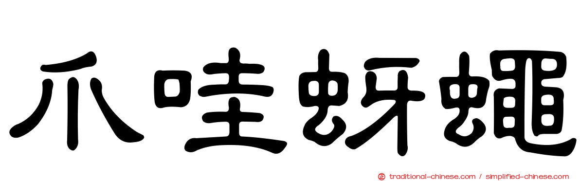 爪哇蚜蠅