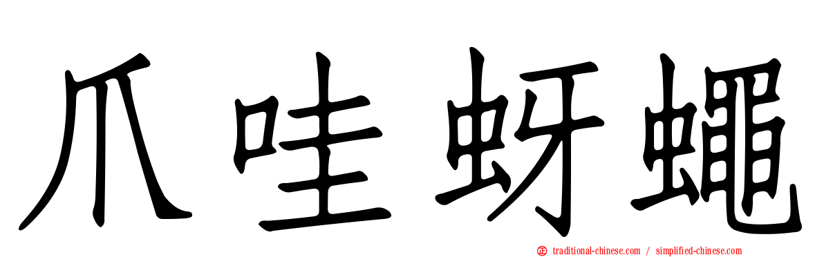 爪哇蚜蠅