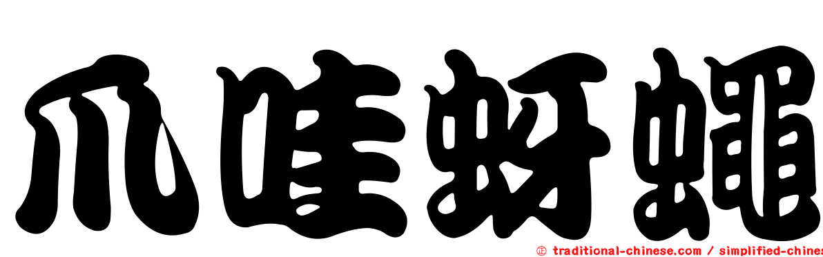 爪哇蚜蠅