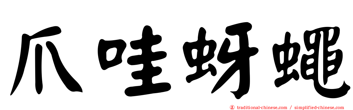 爪哇蚜蠅