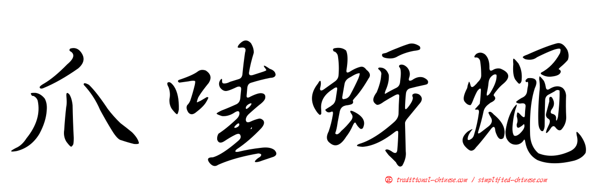 爪哇蚜蠅