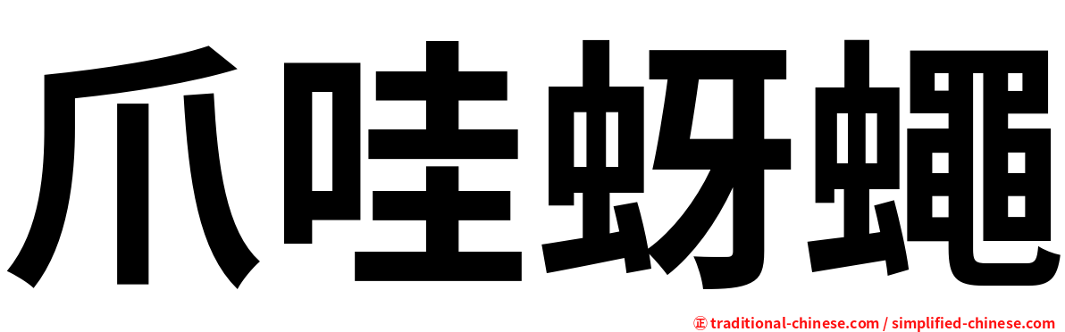 爪哇蚜蠅
