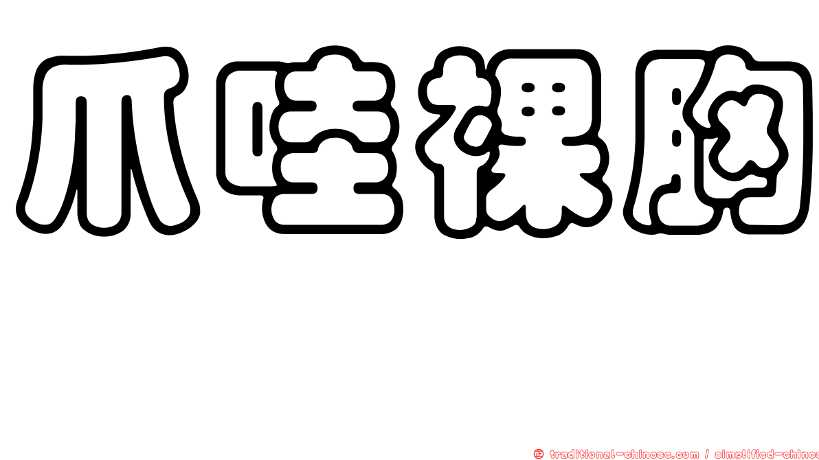 爪哇裸胸鯙