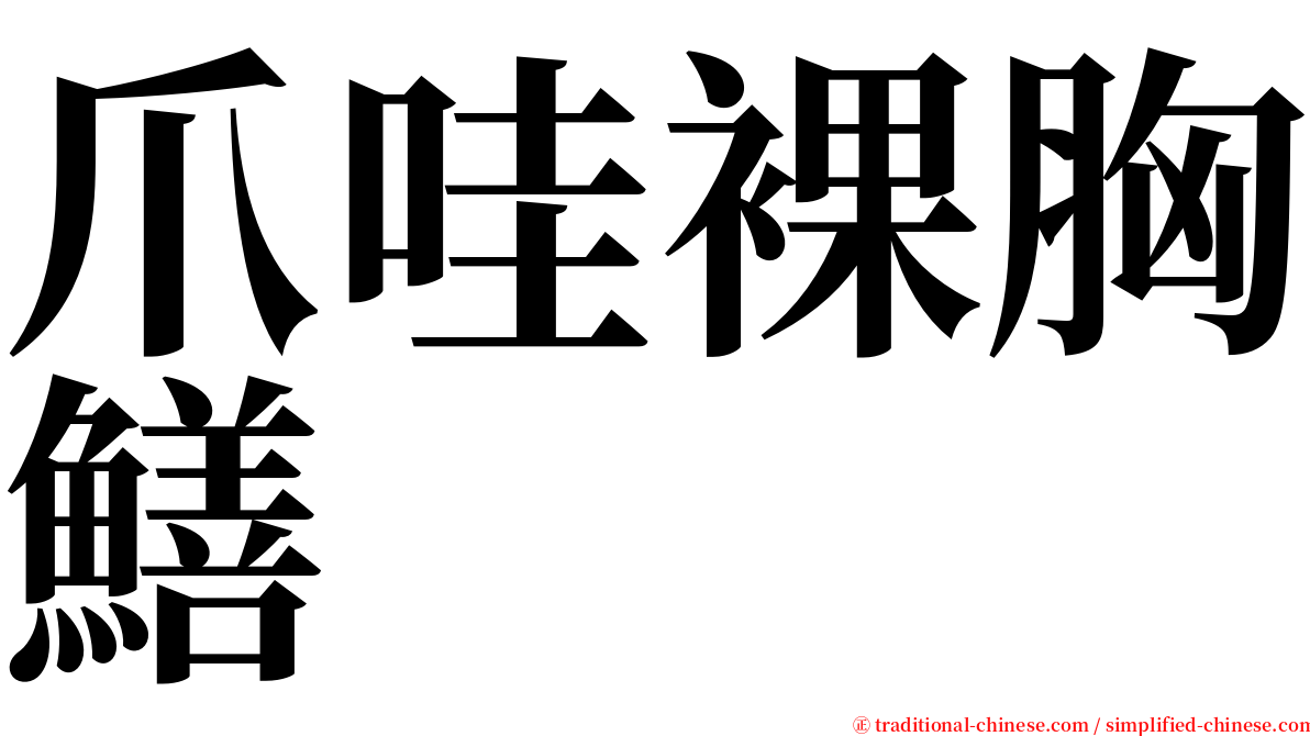 爪哇裸胸鱔 serif font