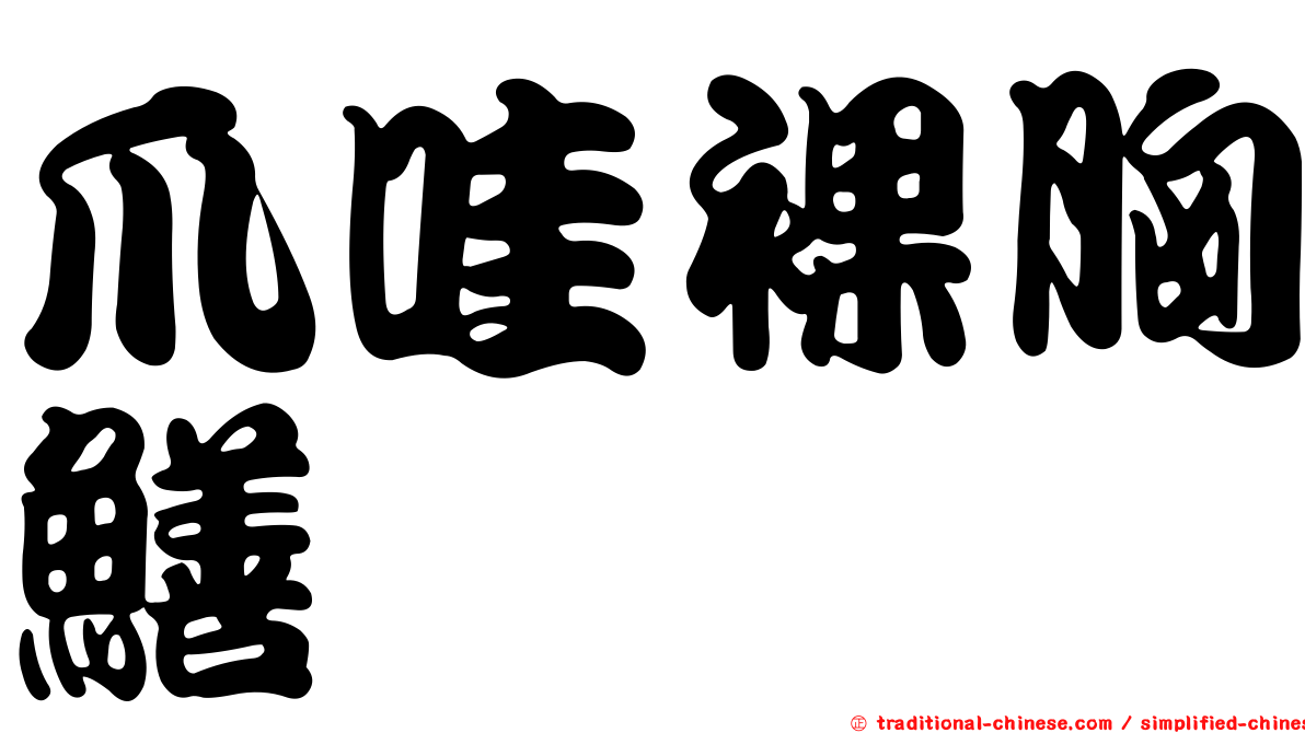 爪哇裸胸鱔