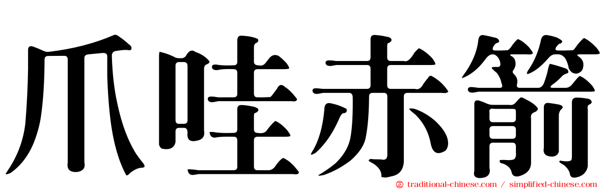 爪哇赤箭