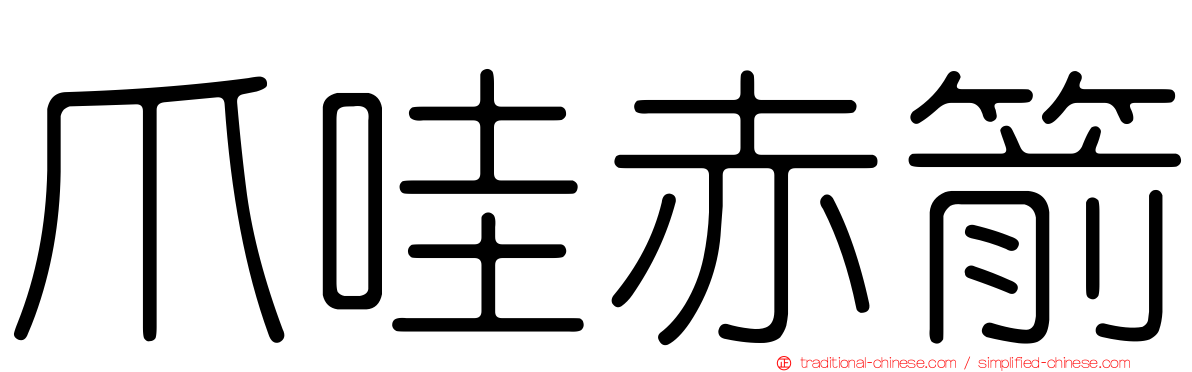 爪哇赤箭
