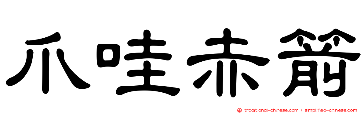 爪哇赤箭
