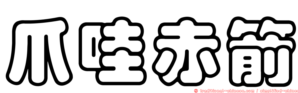 爪哇赤箭