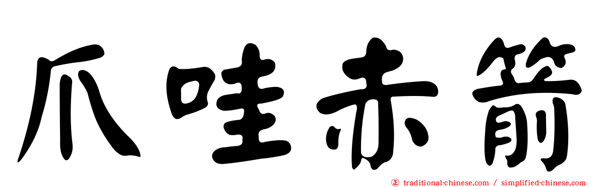 爪哇赤箭