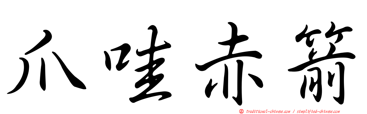 爪哇赤箭