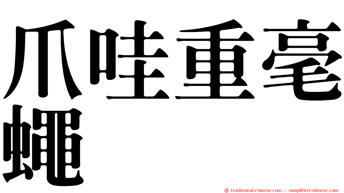 爪哇重毫蠅